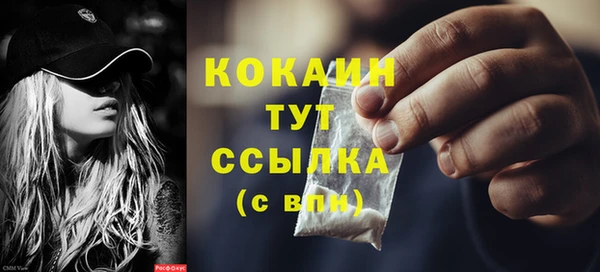 мдпв Бронницы
