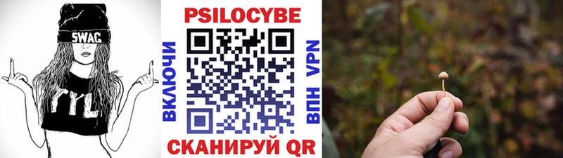 Галлюциногенные грибы Psilocybine cubensis  Егорьевск 