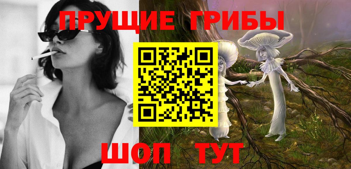 Псилоцибиновые грибы Cubensis Егорьевск