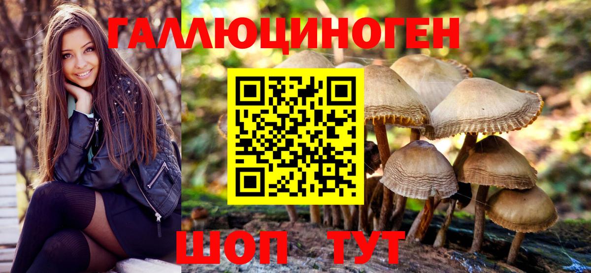 Галлюциногенные грибы Magic Shrooms  Псилоцибиновые грибы мицелий  Егорьевск  Вход с VPN 